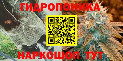 кокс Железноводск