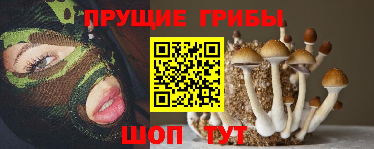 Псилоцибиновые грибы MAGIC MUSHROOMS  Вход с VPN  Луховицы 