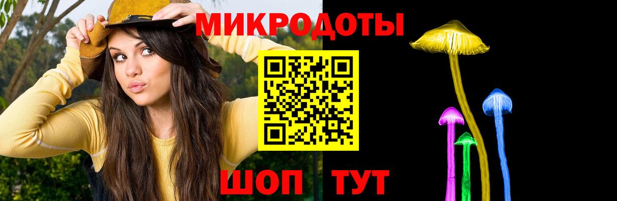 Псилоцибиновые грибы Psilocybine cubensis Луховицы